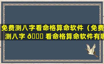 免费测八字看命格算命软件（免费测八字 🐞 看命格算命软件有哪些）